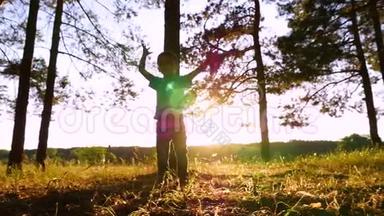 快乐的小男孩在日落时在公园或森林里嬉戏。 孩子玩<strong>树叶</strong>，把它们扔起来。 <strong>剪影</strong>